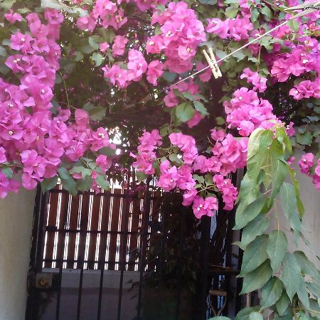 Alojamiento Alberto Magno Bed & Breakfast Santiago Exterior foto