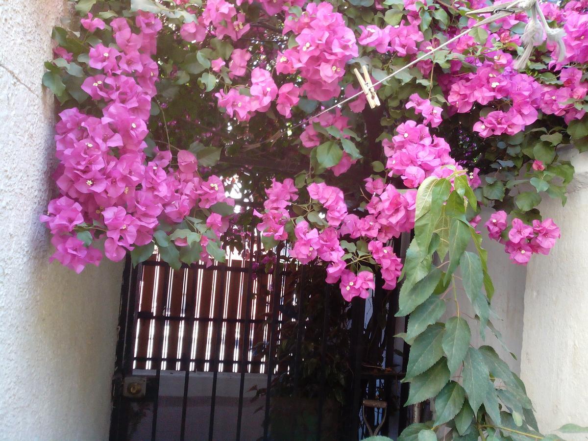 Alojamiento Alberto Magno Bed & Breakfast Santiago Exterior foto